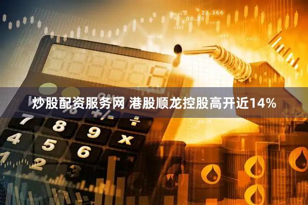 炒股配资服务网 港股顺龙控股高开近14%