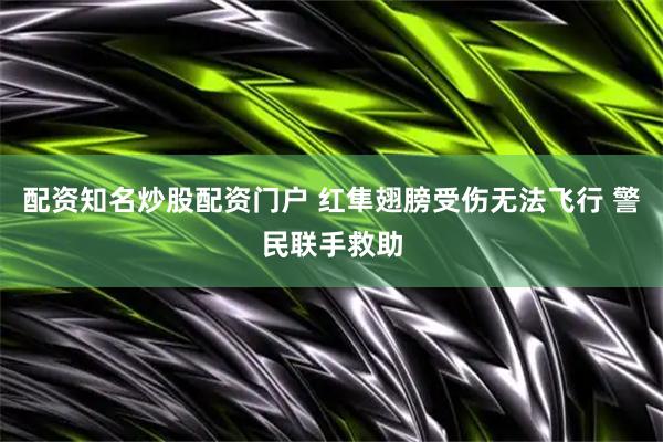 配资知名炒股配资门户 红隼翅膀受伤无法飞行 警民联手救助