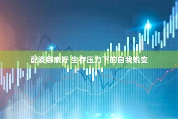 配资哪家好 生存压力下的自我蜕变